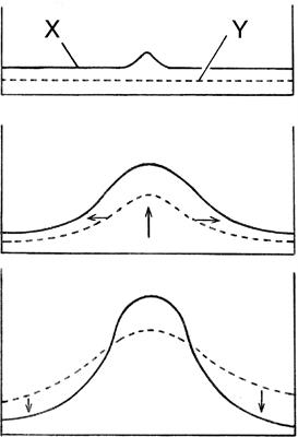 Evolving Consciousness: Insights From Turing, and the Shaping of Experience